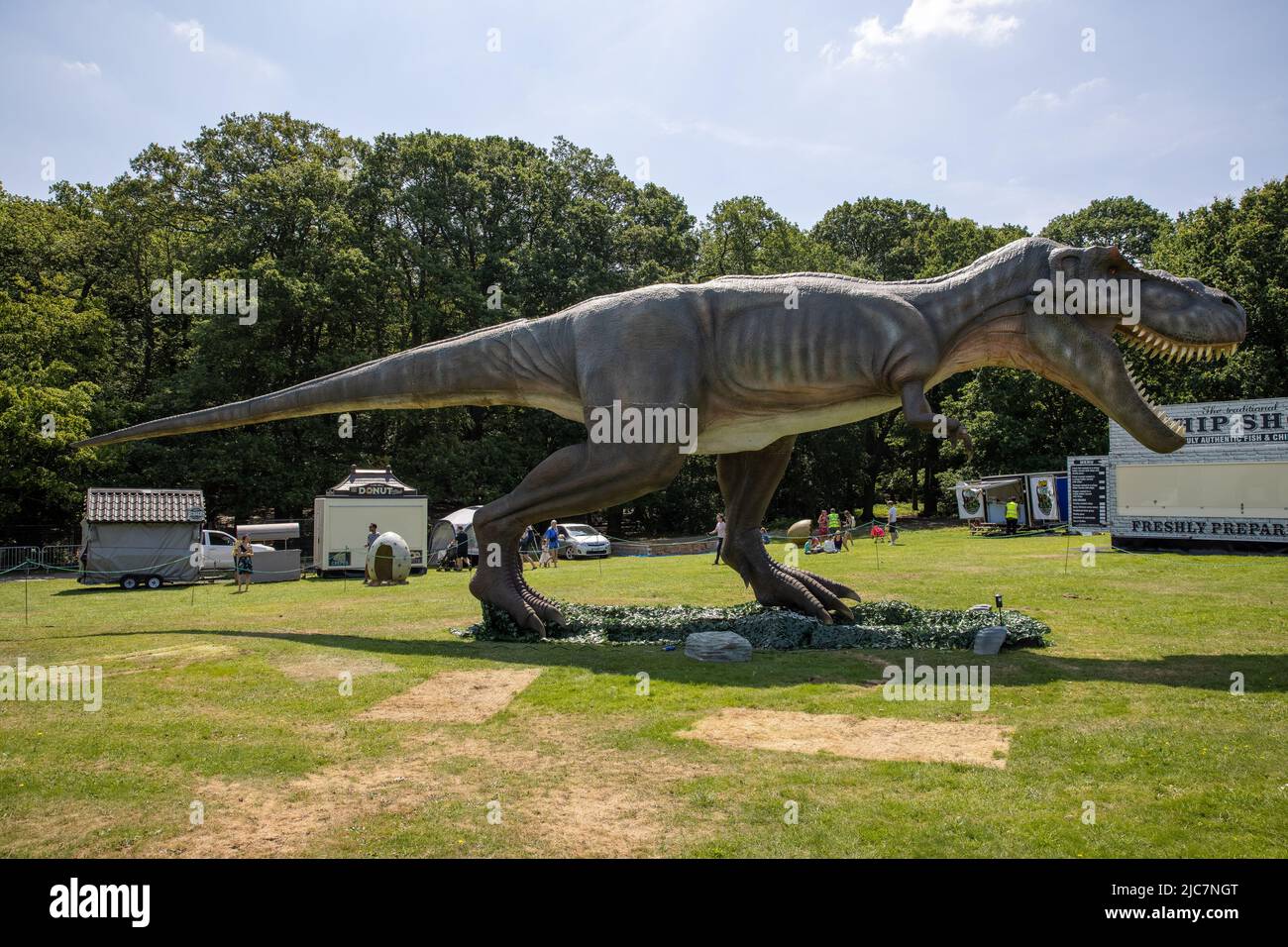 Jurassic Encounter feiert sein Debüt in Großbritannien im Grovelands Park in Southgate, London. Jurassic Encounter ist ein Familienevent, eine interaktive Installation von 50 lebensgroßen animatronischen Dinosauriern aus der Jurazeit, der Trias und der Kreidezeit. Jeder Dinosaurier hat Roboterbewegungen, Arme bewegen sich auf und ab, Schwänze wiegen sich von Seite zu Seite, Köpfe bewegen sich auf und ab, Augen blinken, Kiefer öffnen sich weit mit realistisch brüllenden Soundeffekten. Mit: Atmosphäre wo: London, Großbritannien Wann: 23 Jul 2021 Kredit: Phil Lewis/WENN Stockfoto