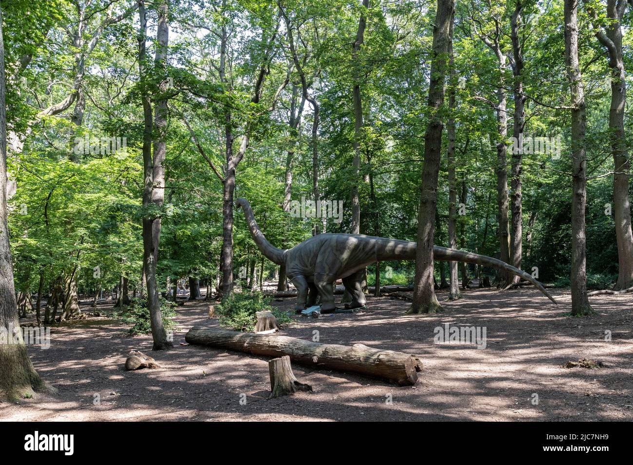 Jurassic Encounter feiert sein Debüt in Großbritannien im Grovelands Park in Southgate, London. Jurassic Encounter ist ein Familienevent, eine interaktive Installation von 50 lebensgroßen animatronischen Dinosauriern aus der Jurazeit, der Trias und der Kreidezeit. Jeder Dinosaurier hat Roboterbewegungen, Arme bewegen sich auf und ab, Schwänze wiegen sich von Seite zu Seite, Köpfe bewegen sich auf und ab, Augen blinken, Kiefer öffnen sich weit mit realistisch brüllenden Soundeffekten. Mit: Atmosphäre wo: London, Großbritannien Wann: 23 Jul 2021 Kredit: Phil Lewis/WENN Stockfoto