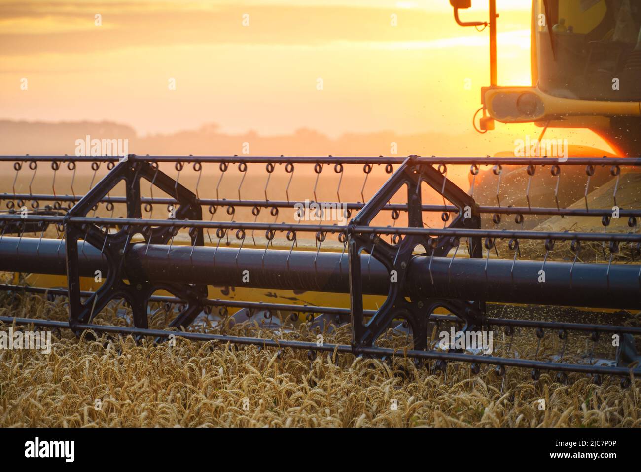 Mähdrescher ernten reifen Weizen. Reife Ähren gold Feld auf den Sonnenuntergang bewölkt orange Himmel Hintergrund. . Konzept für eine reiche Ernte. Landwirtschaft Stockfoto