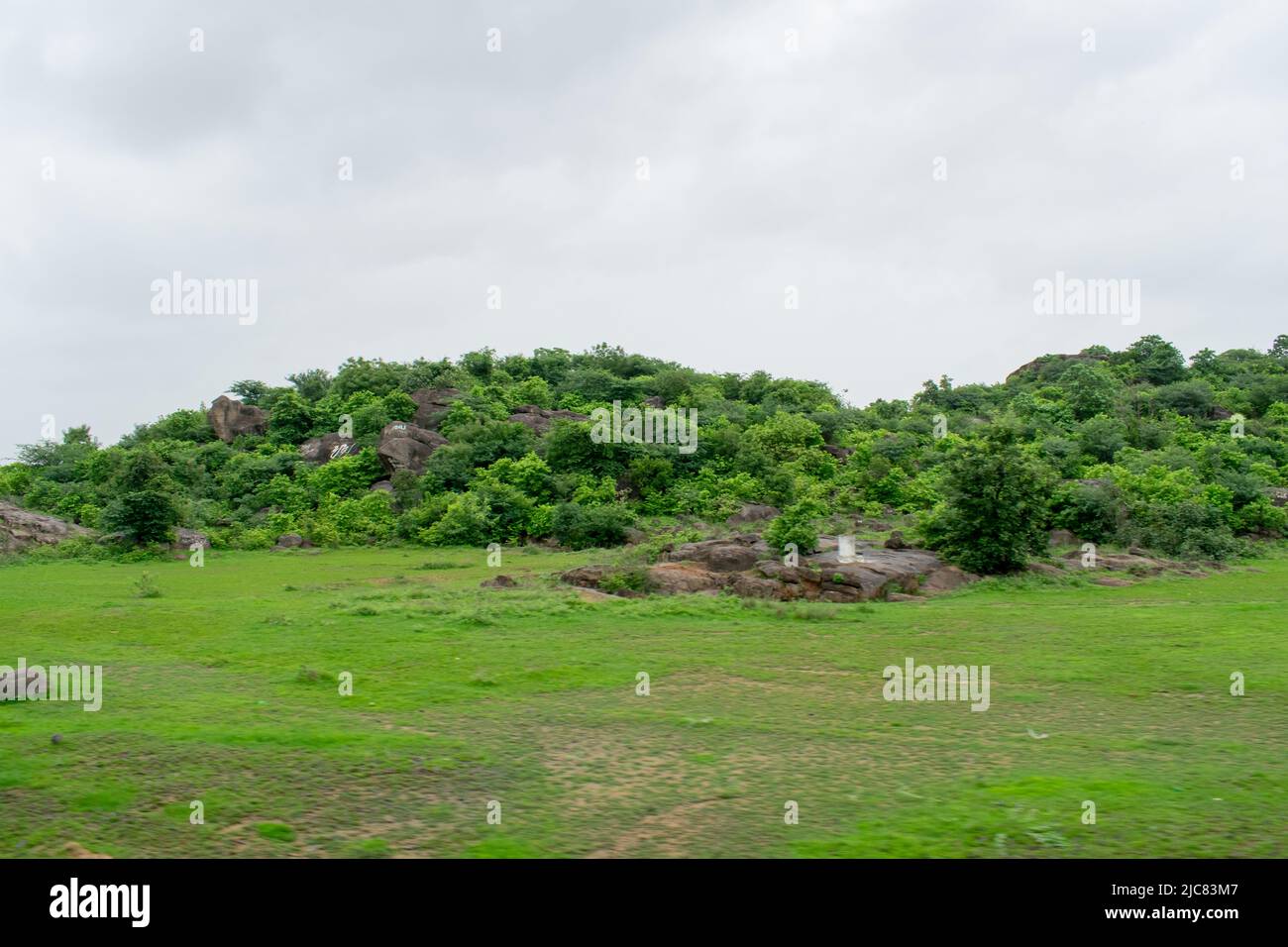 Wunderschöne indische grüne Landschaft aus kerala, Indien. Stockfoto