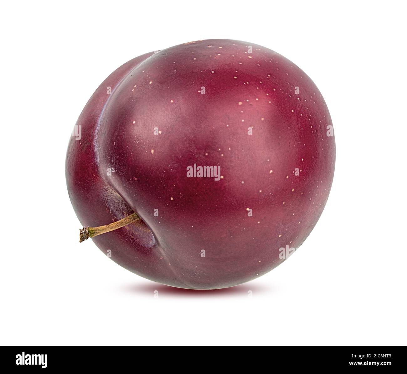 Plum isoliert auf weißem Hintergrund Stockfoto