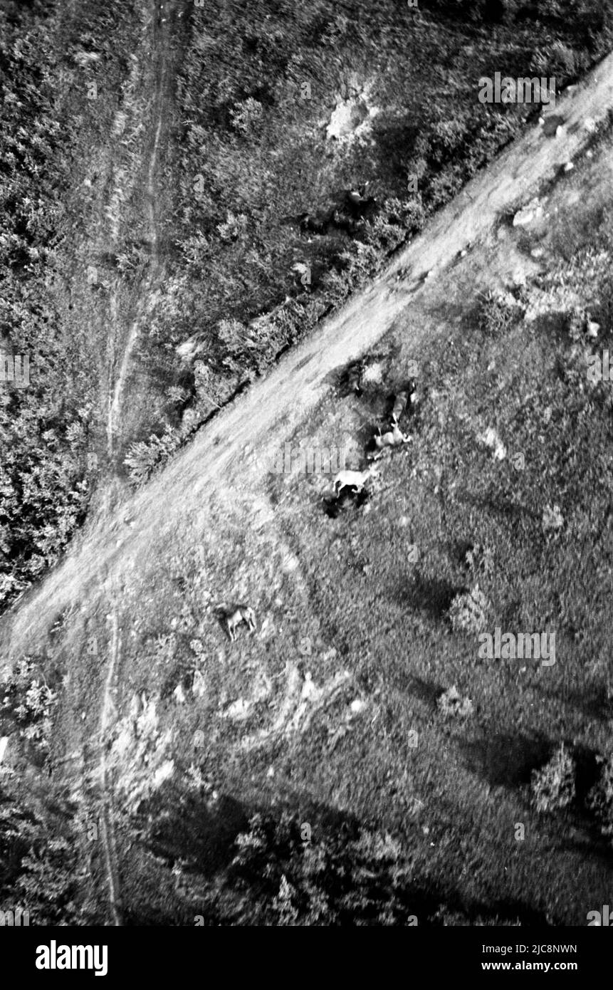 Bombeneinschlag-Dokumentation nach Bombenangriff der deutschen Luftwaffe während des Weltkrieges 2 im September 1942 im Gebiet von Donezk - Luhansk, Ukraine Stockfoto