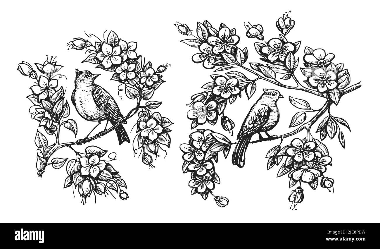 Hand zeichnen Vogel auf Baum Ast. Nachtigall und Blumen im Vintage-Gravurstil. Skizzenvektordarstellung Stock Vektor