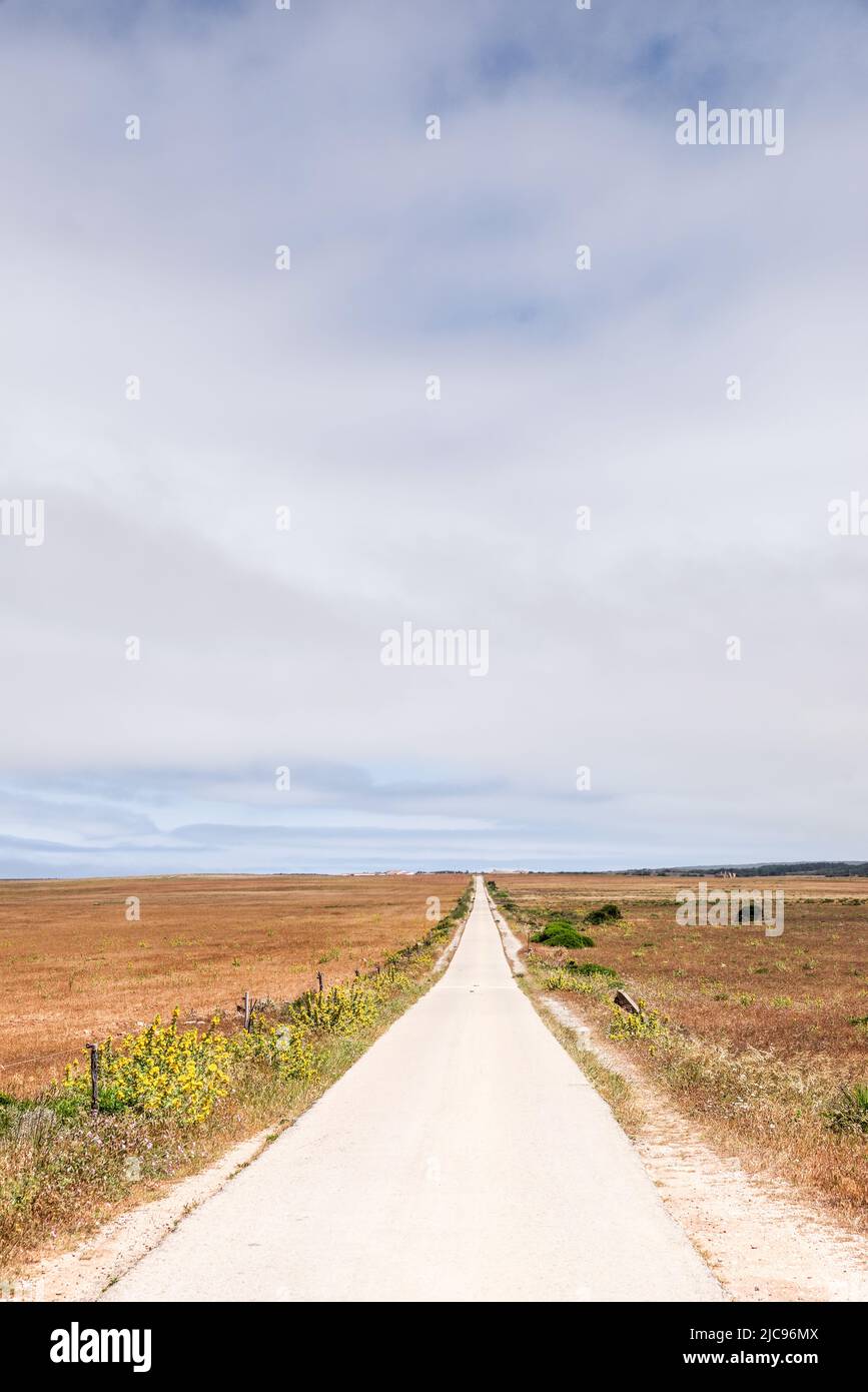 Landstraße in der Algarve, die sich in die Ferne zieht (Portugal) Stockfoto