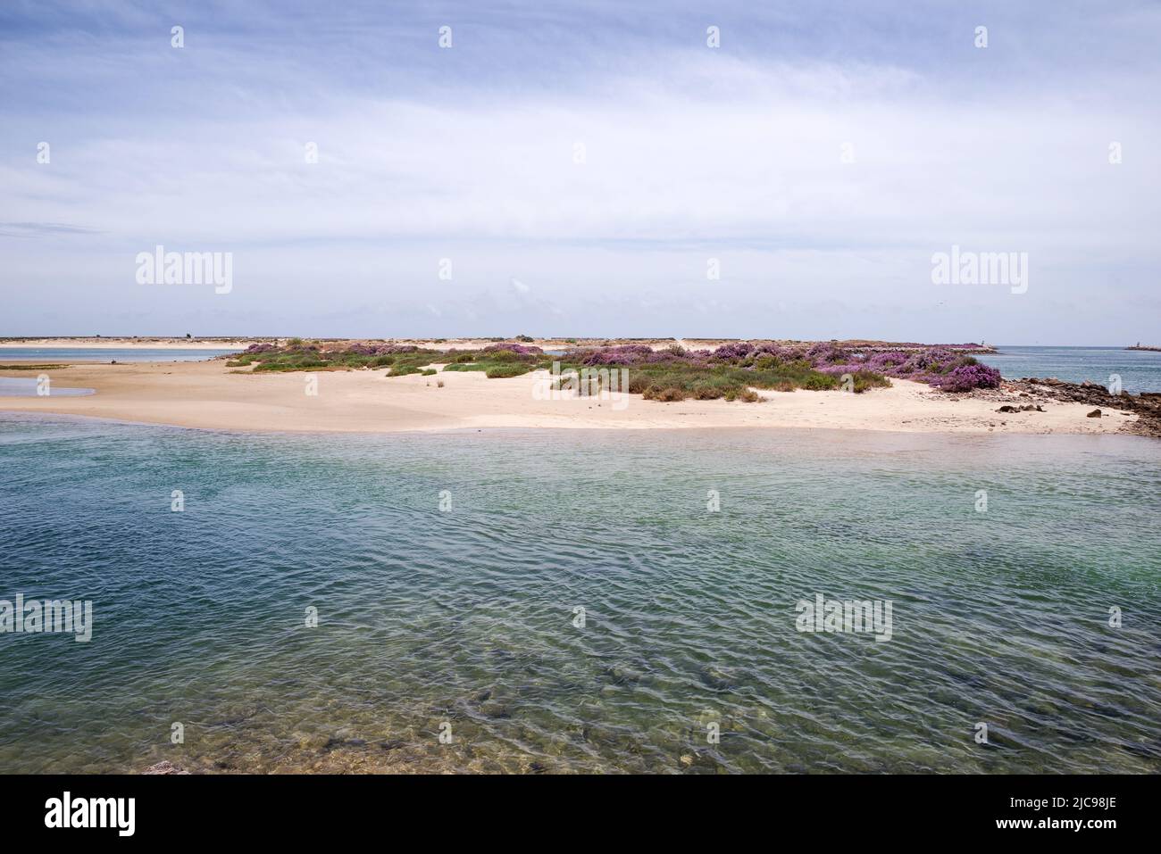 Praia dos Tesos mit seiner geschützten Küste und seinem flachen Wasser ist perfekt für ein "abseits der ausgetretenen Pfade" Stranderlebnis - Tavira, Algarve, Portugal Stockfoto