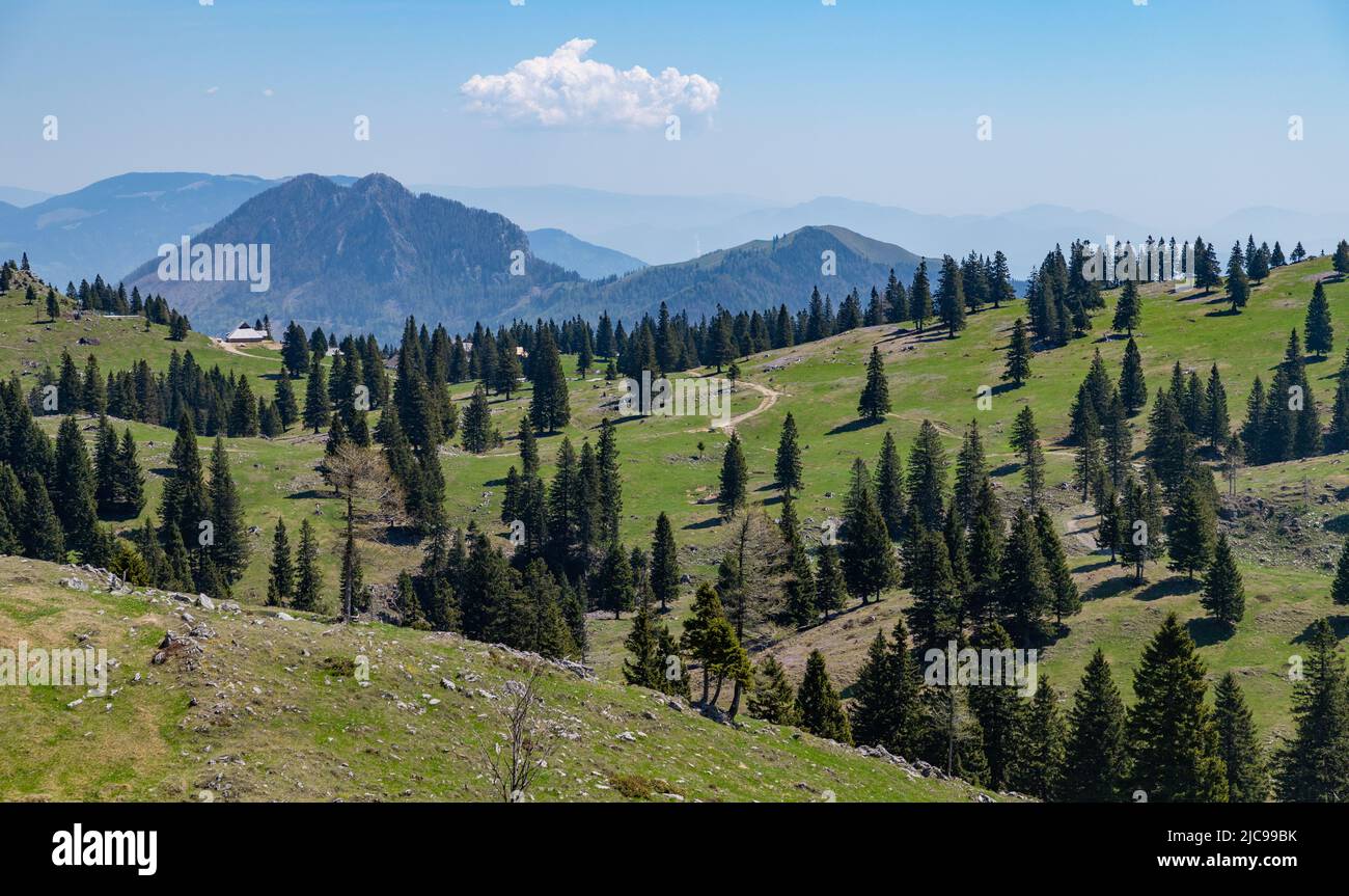 Ein Bild der Landschaft von Velika Planina, oder Big Weide Plateau. Stockfoto