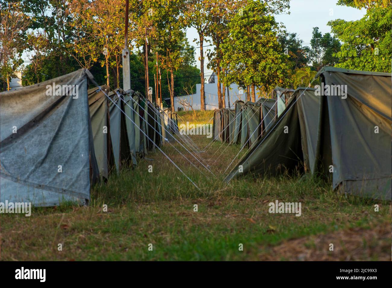 Scout Zelt im Waldlager. Stockfoto