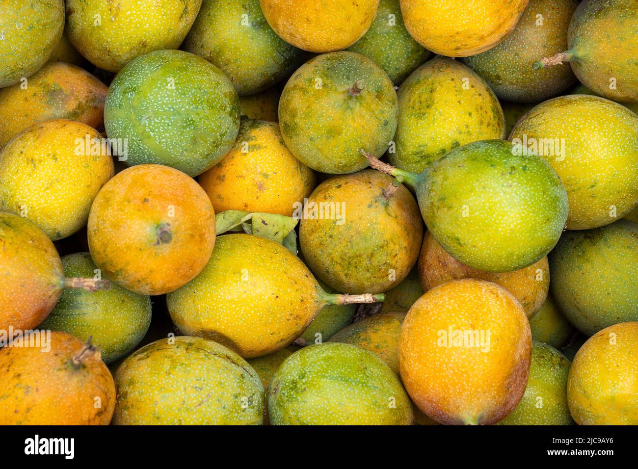 Köstliche frische Passionsfrucht auf dem Bauernmarkt - Passiflora ligularis Stockfoto