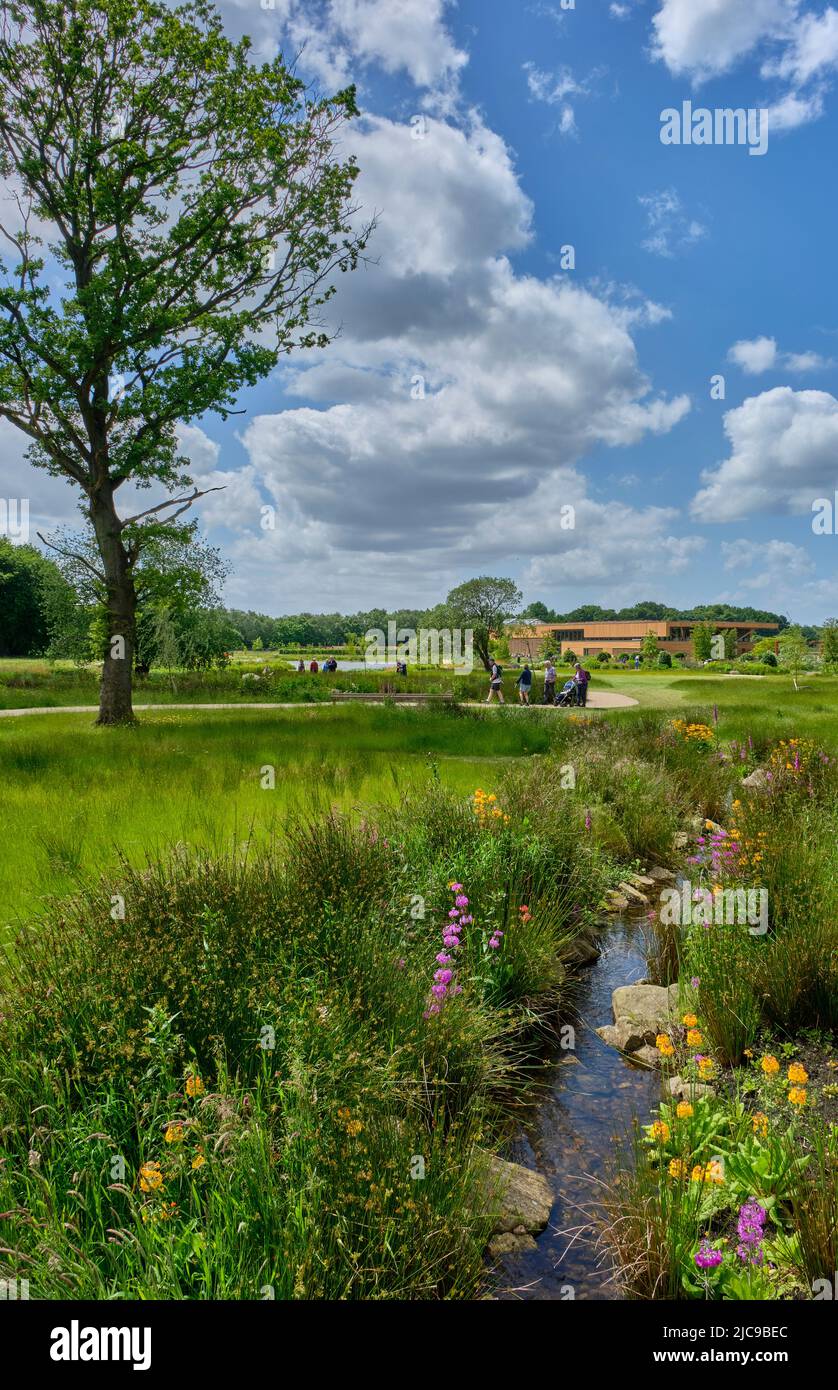 Chinese Streamside Garden in der RHS Bridgewater, Worsley, Manchester Stockfoto