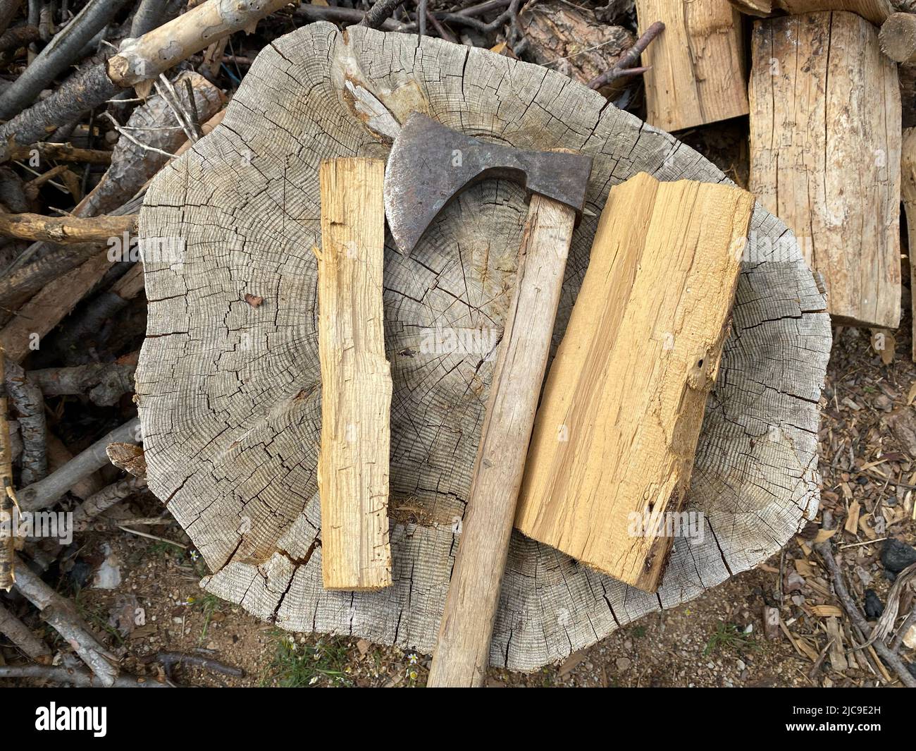 Axt und gehacktes Holz auf Baumstumpf. Draufsicht auf Axt und Wald. Stockfoto