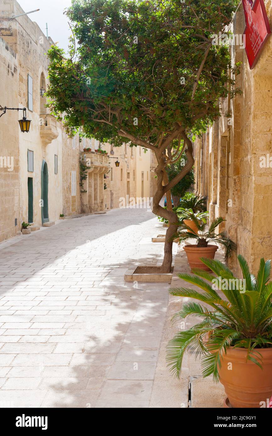 Mdina, Malta, Historische Altstadt. Stockfoto