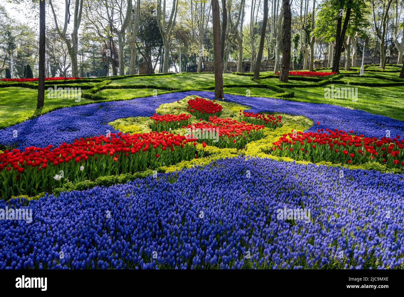 Bunte Blumen in voller Blüte im Gülhane Park, Istanbul, Türkiye. Stockfoto