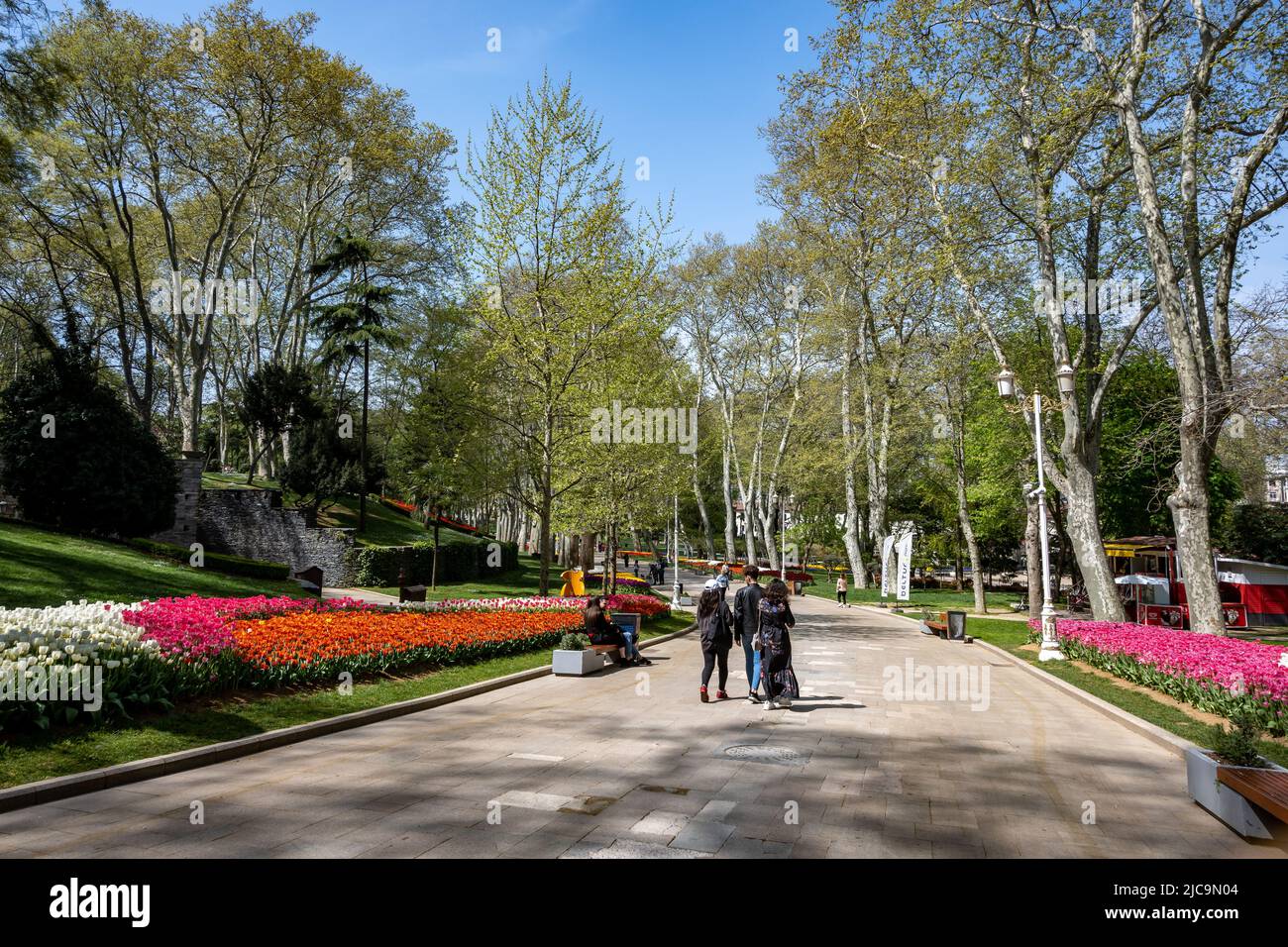 Bunte Blumen in voller Blüte im Gülhane Park, Istanbul, Türkiye. Stockfoto