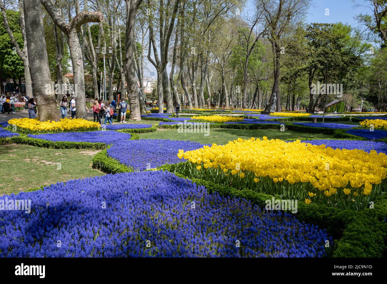 Bunte Blumen in voller Blüte im Gülhane Park, Istanbul, Türkiye. Stockfoto