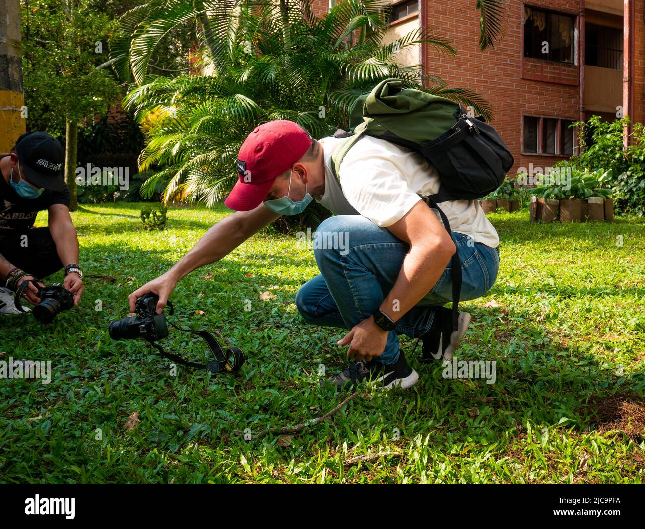 Medellin, Antioquia, Kolumbien - Februar 19 2022: Junger Kolumbianer macht im Garten Bilder von kleinen Schildkröten Stockfoto