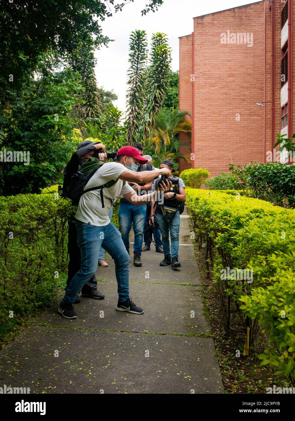Medellin, Antioquia, Kolumbien - Februar 19 2022: Ein junger kolumbianischer Mann macht Bilder in einem wunderschönen Garten voller Bäume Stockfoto