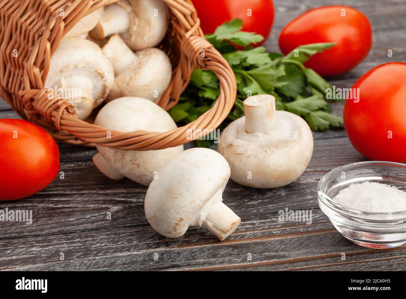 Weiße Pilze auf Holz Hintergrund Stockfoto