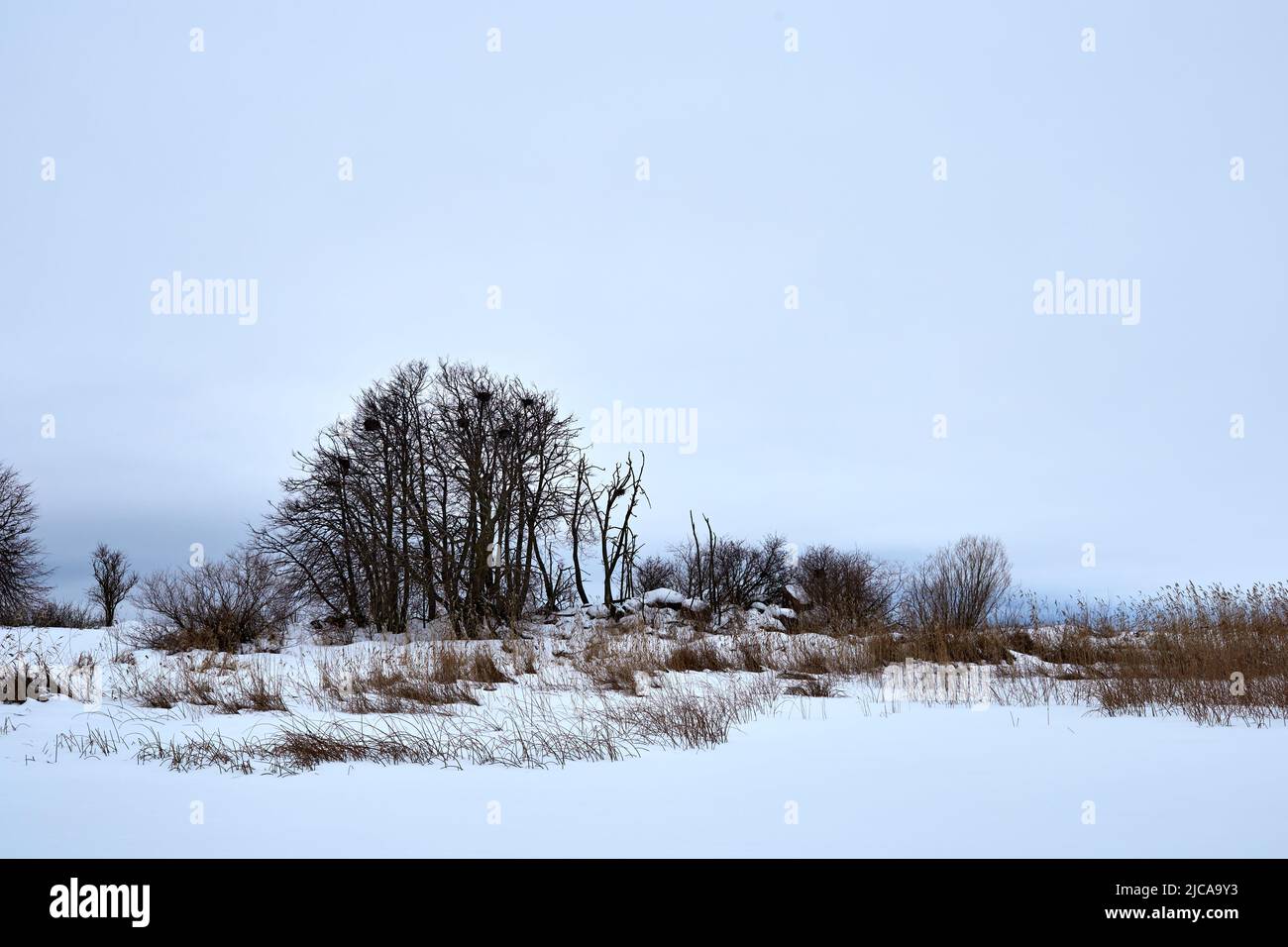 Gefrorener Wintersee in Estland mit Schnee- und Eisfischen Stockfoto