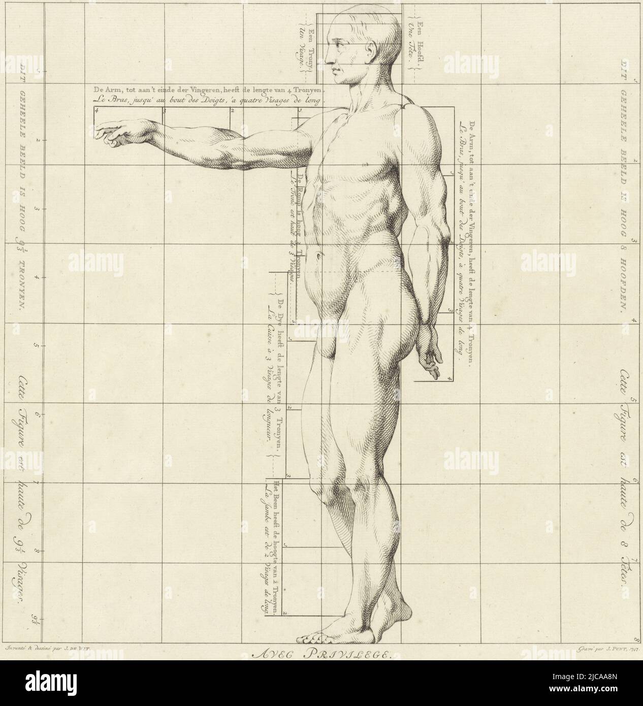 Seitenansicht, mit einem ausgestreckten Arm, Proportionitätsstudie eines menschlichen Körpers Zeichnungsbuch der Proportionen des menschlichen Körpers Proportionen du Corps Humain , Druckerei: Jan Punt, (auf Objekt erwähnt), Zeichner: Jacob de Wit, (auf Objekt erwähnt), unbekannt, (auf Objekt erwähnt), Amsterdam, 1747, Papier, Radierung, Gravur, H 380 mm × B 379 mm Stockfoto