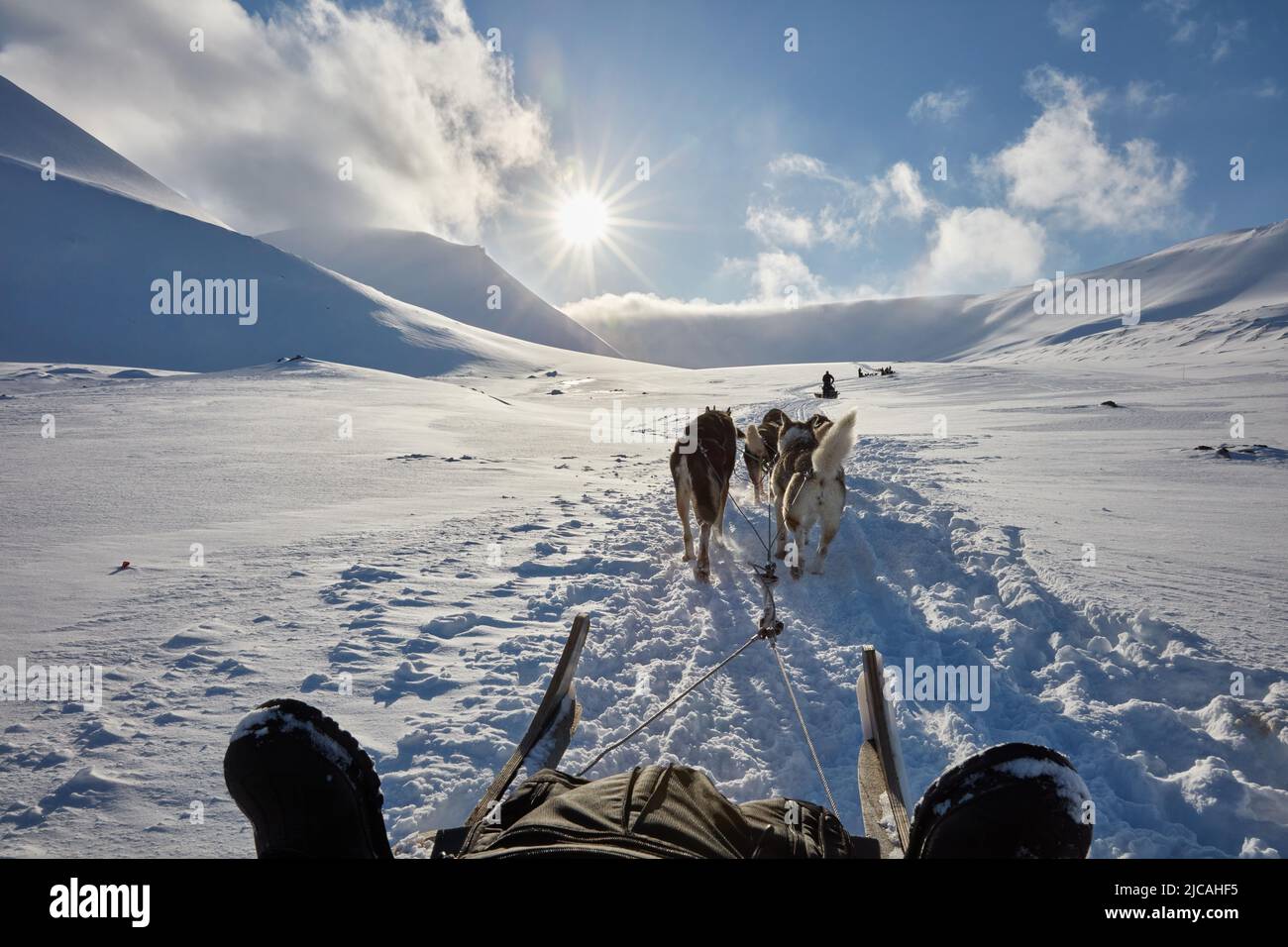 Ein Hundeschlitten, der durch eine offene, schneebedeckte Ebene fährt Stockfoto