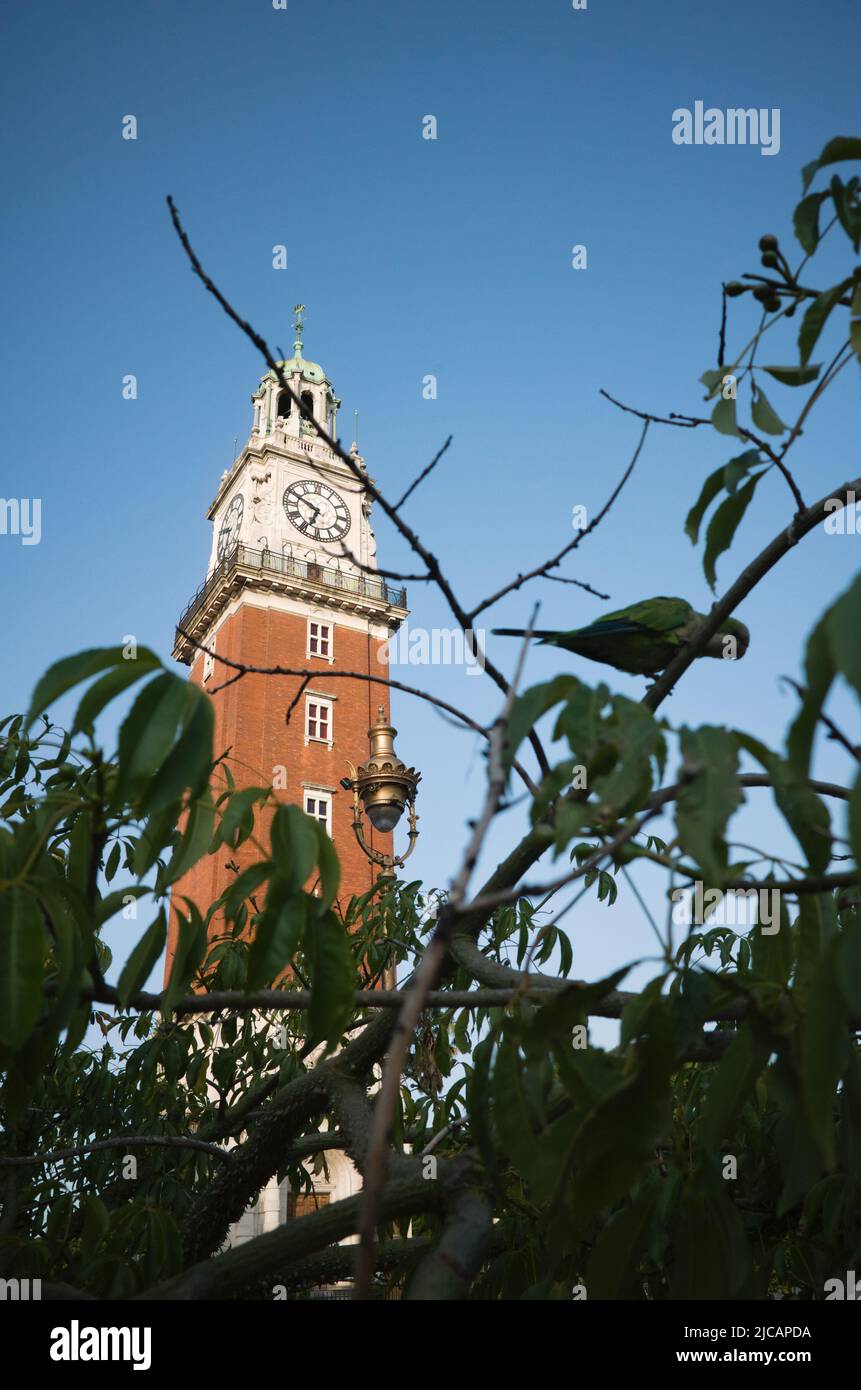 Blick auf Torre Monumental Uhrenturm durch üppiges Laub, Retiro, Buenos Aires, Argentinien. Uhrturm Torre Monumental früher Torre de los Inglese Stockfoto