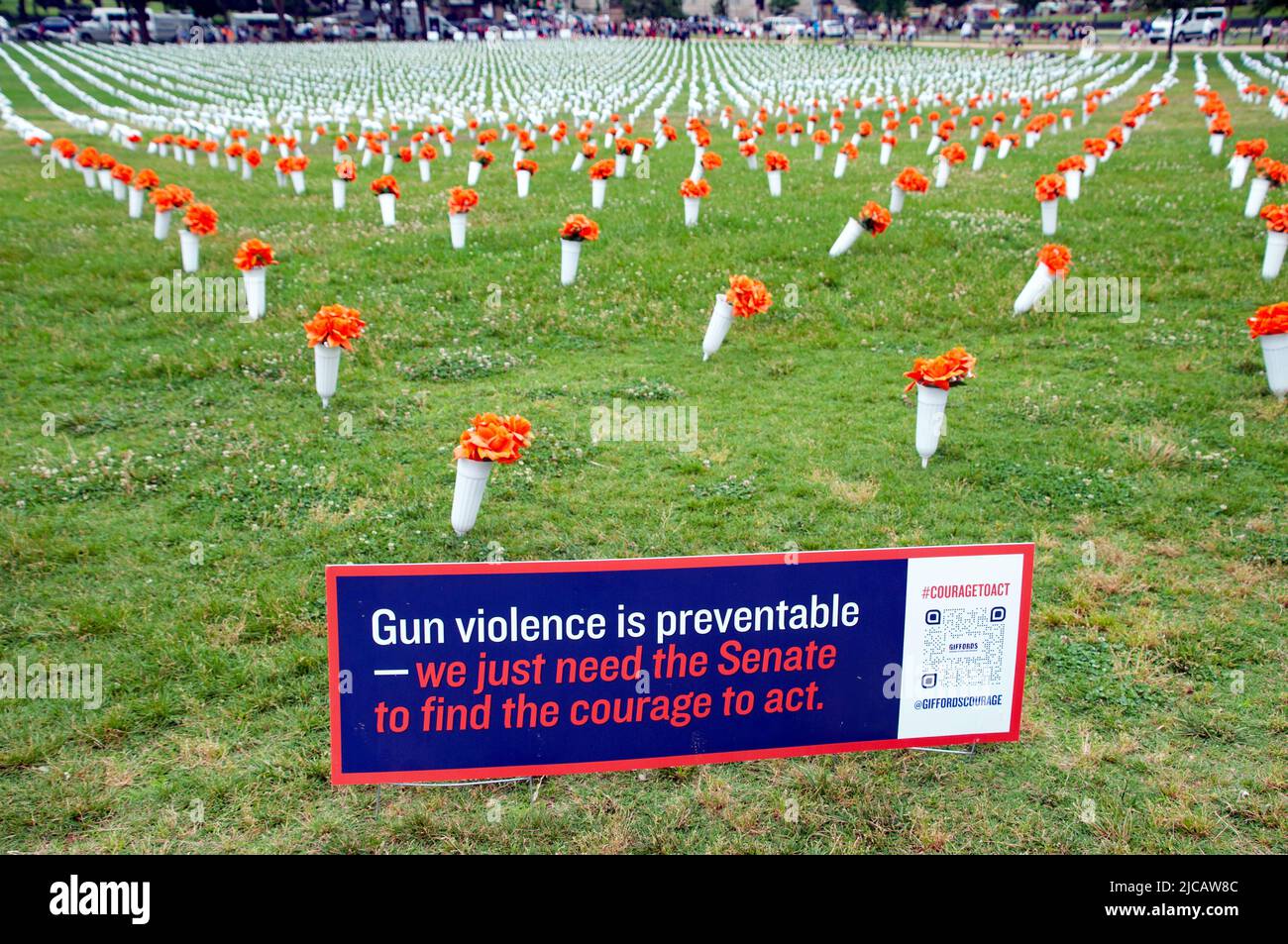 Washington DC, USA. 11. Juni 2022. Blumen zum Gedenken an die Opfer von Waffengewalt bei der Demonstration „Marsch für unser Leben“. Kirk Treakle/Alamy Live News. Stockfoto