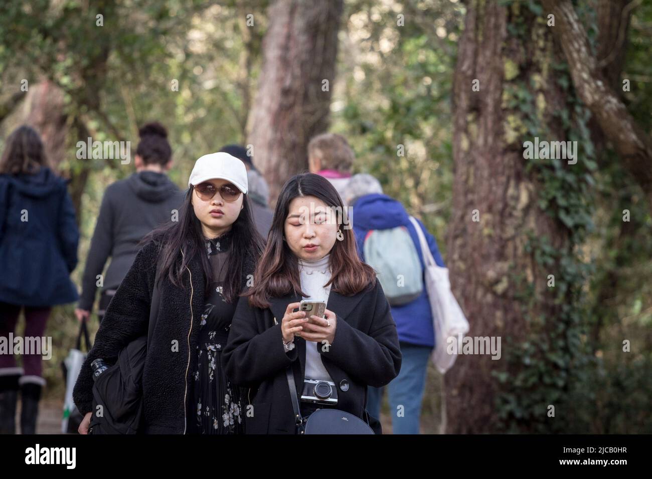 Bild von zwei Mädchen, jungen Frauen, Touristen, Asiaten aus Japan, zu Fuß und mit ihren Smartphones Anwendungen auf einem öffentlichen Internet-Netzwerk i verwenden Stockfoto