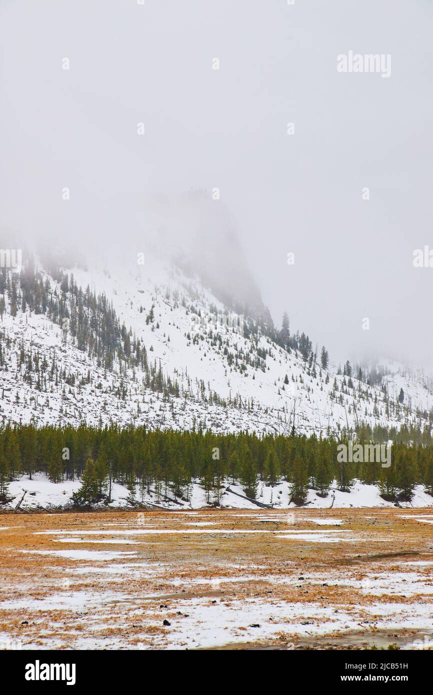 Schneebedeckte Berggipfel im Yellowstone Stockfoto