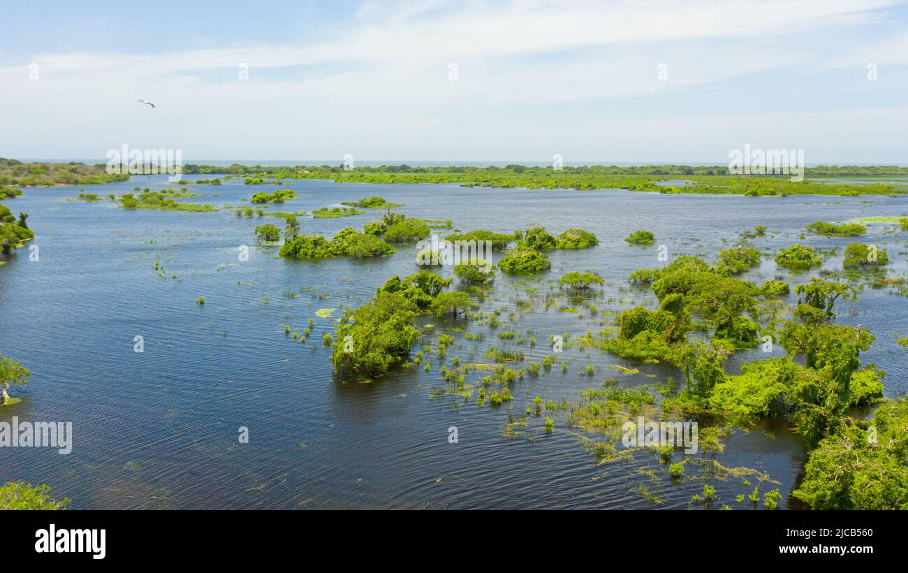 Luftaufnahme des Sees im Kumana National Park, der Heimat von wilden Tieren und Vögeln ist. Sri Lanka. Stockfoto