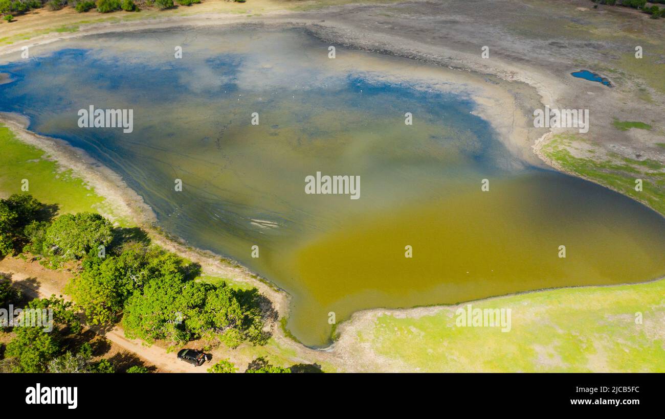 Trockensee im Kumana Nationalpark im Dschungel. Sri Lanka. Stockfoto