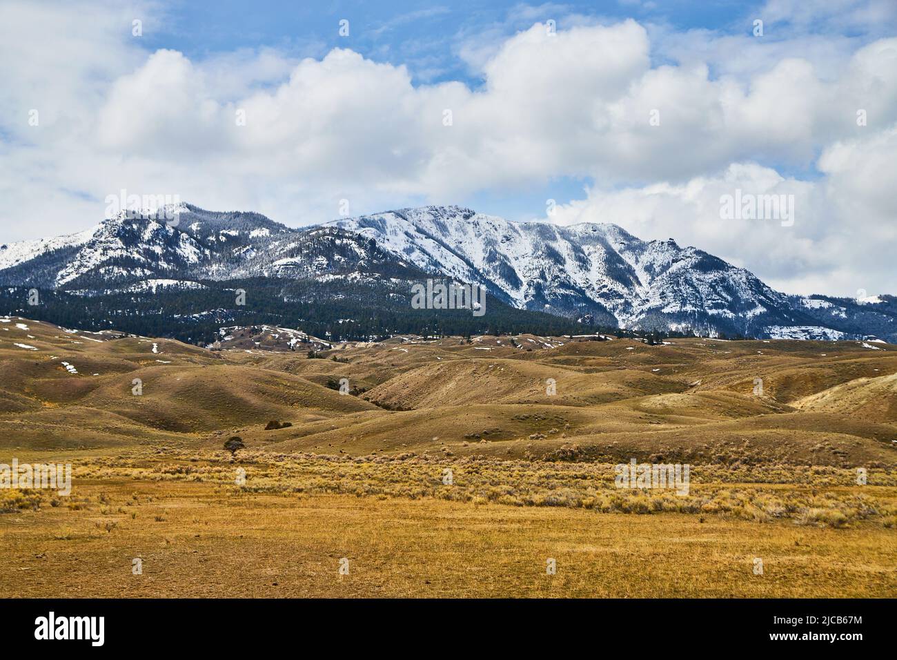Verschneite Berge von Montana im Frühling Stockfoto