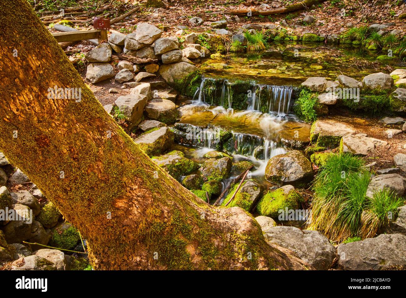 Tosende Wasserfälle über kleine moosige Felsen mit Baumstamm im Vordergrund Stockfoto
