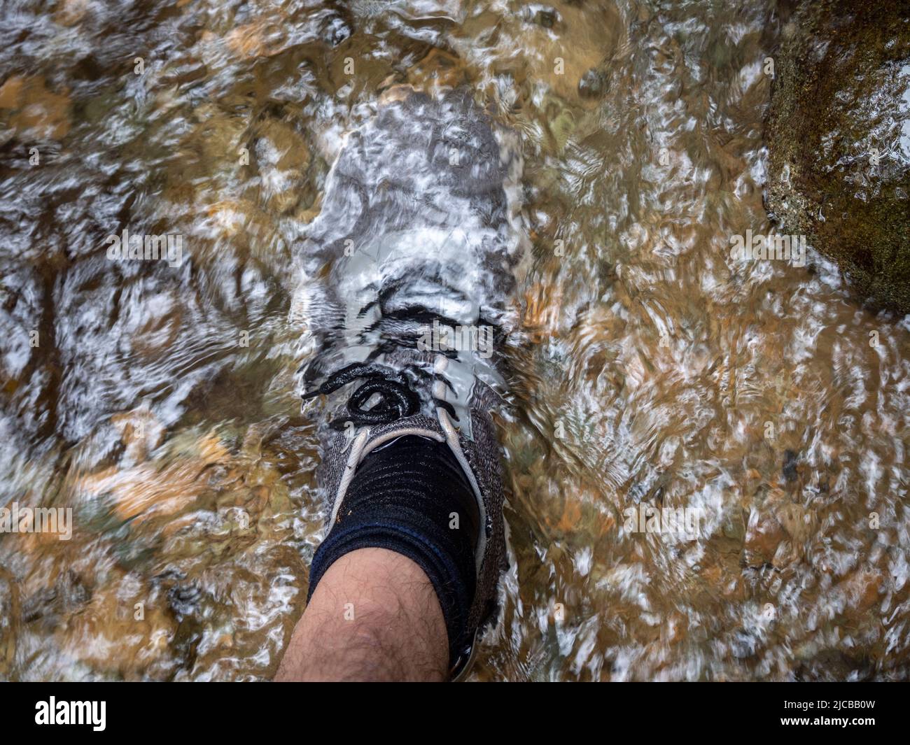 Fuß mit schwarzen Socken und grauen Wanderschuhen im Flusswasser Stockfoto