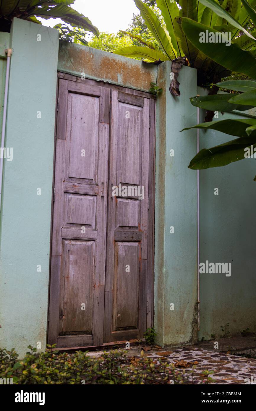 Holztür ohne Haus. Tür in einer Mauer oder einem Zaun, überwuchert von grüner, üppiger tropischer Vegetation. Eine Eingangstür anstelle eines Gartentores, Landdemarkatio Stockfoto