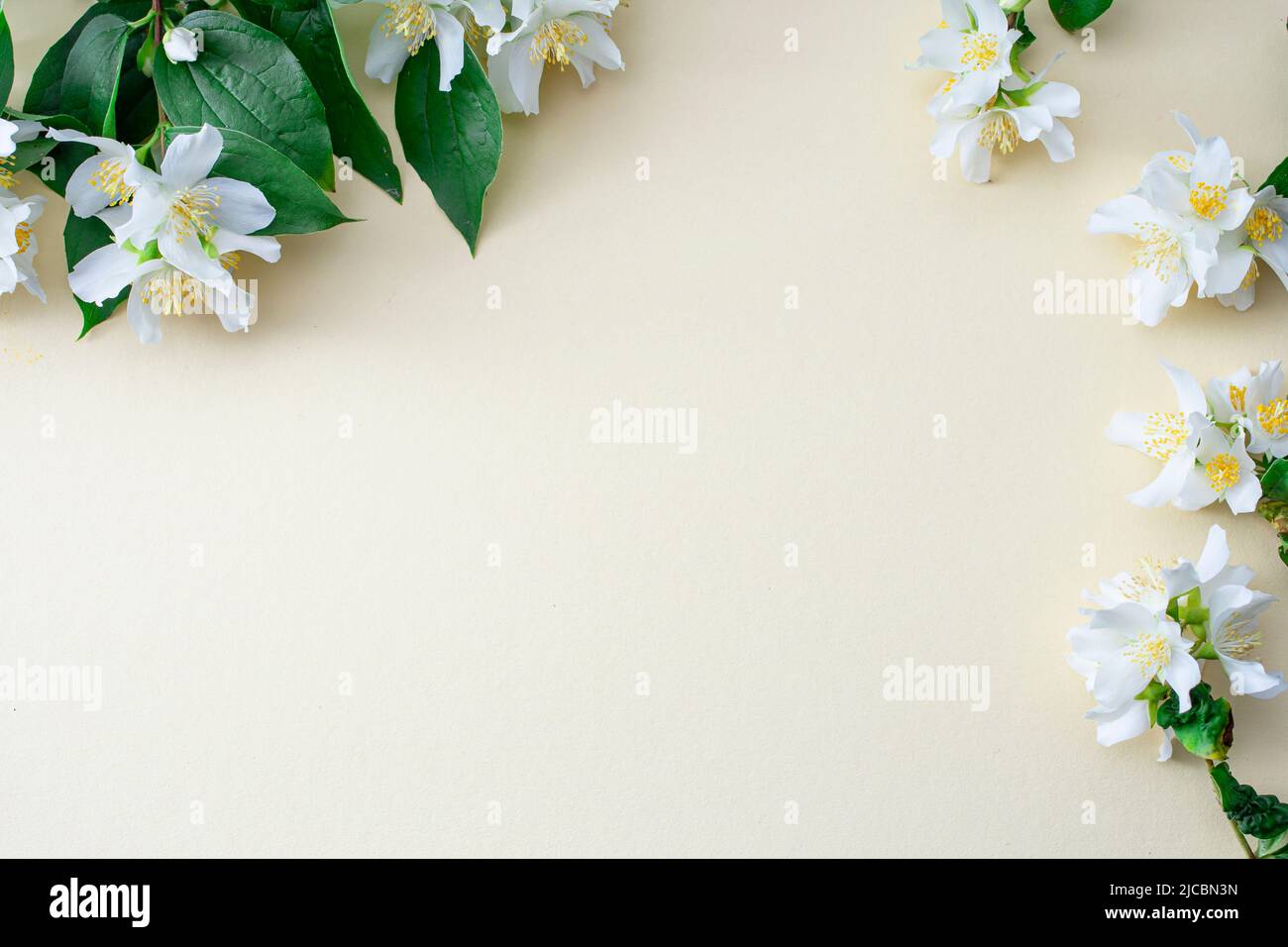 Weiße Blüten auf beigefarbenem Papier, Einladungshintergrund Stockfoto
