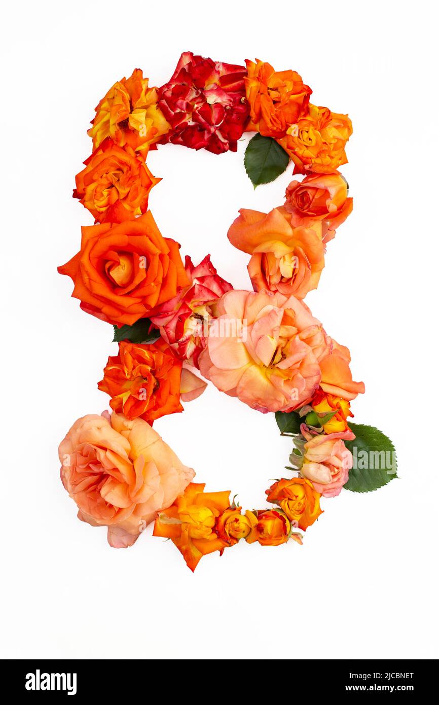 Die Nummer acht besteht aus echten roten, orangefarbenen Rosen, isoliert auf weißem Hintergrund. Stockfoto