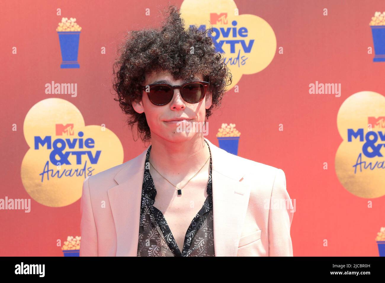 5. Juni 2022, Santa Monica, CA, USA: LOS ANGELES - 5. JUNI: Reece Feldman bei den MTV Movie and TV Awards 2022 bei Barker Hanger am 5. Juni 2022 in Santa Monica, CA (Bildquelle: © Kay Blake/ZUMA Press Wire) Stockfoto