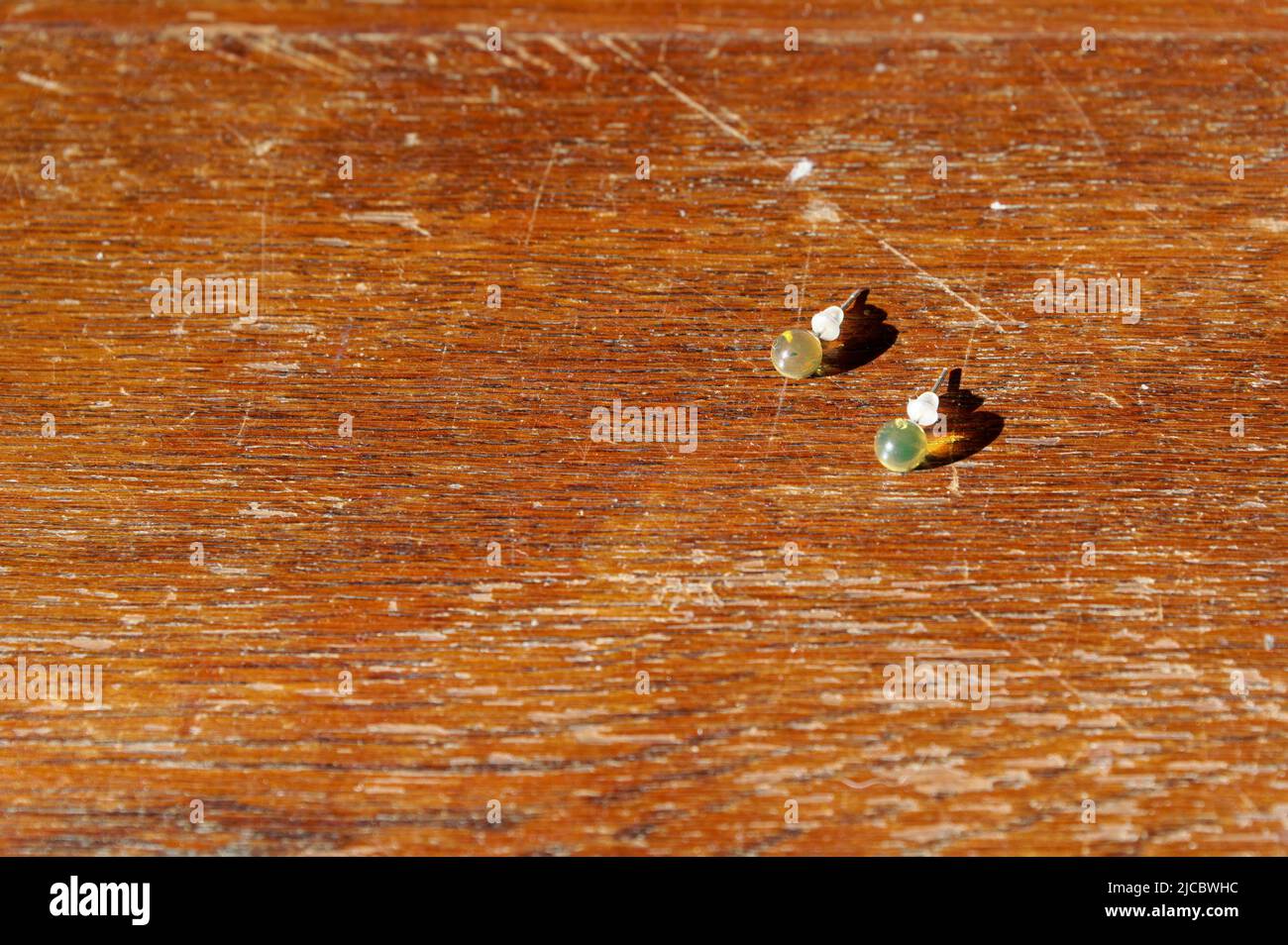 Zwei Ohrringe fangen das Sonnenlicht, sie wurden auf einem Holzschrank gelassen. Stockfoto