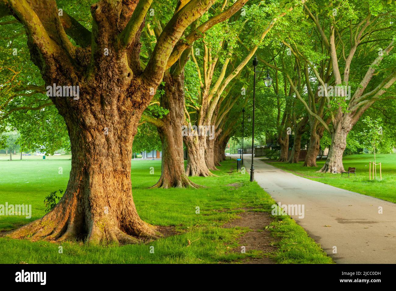 Frühlingsmorgen bei Jesus Green in Cambridge, England. Stockfoto