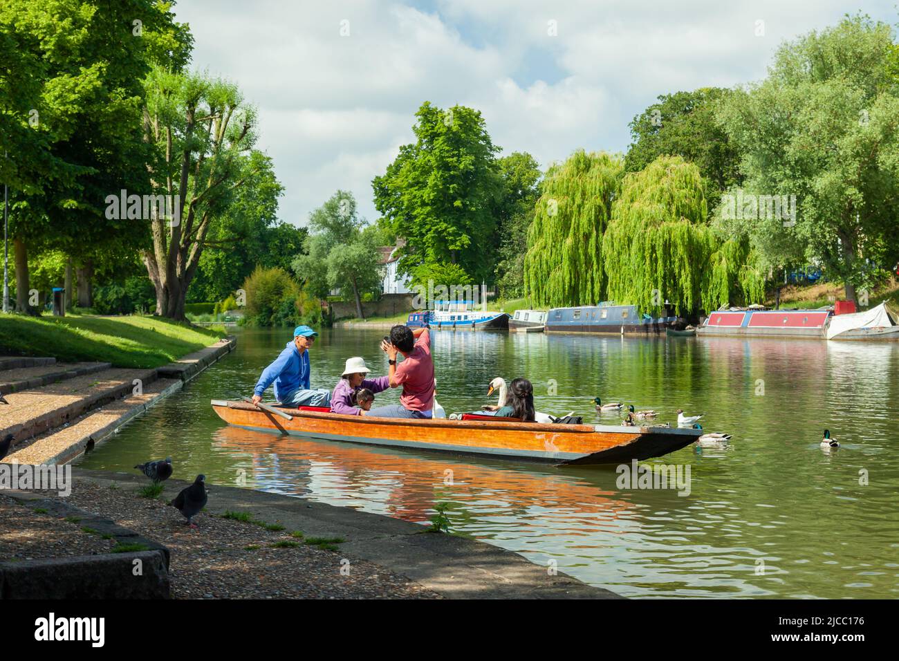 Schlagboot auf dem Fluss Cam in Cambridge, England. Stockfoto