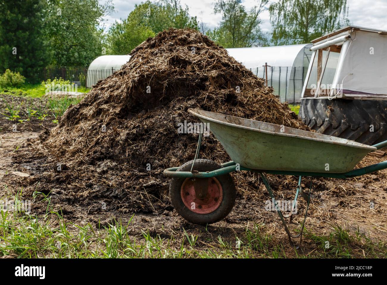 Schubkarre in der Nähe eines Dunghills. Dünger für den Garten. Stockfoto