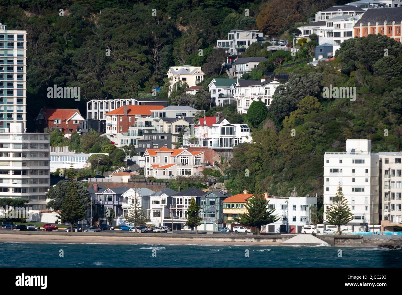 Häuser am Hang über Oriental Bay, Mount Victoria, Wellington, Nordinsel, Neuseeland Stockfoto