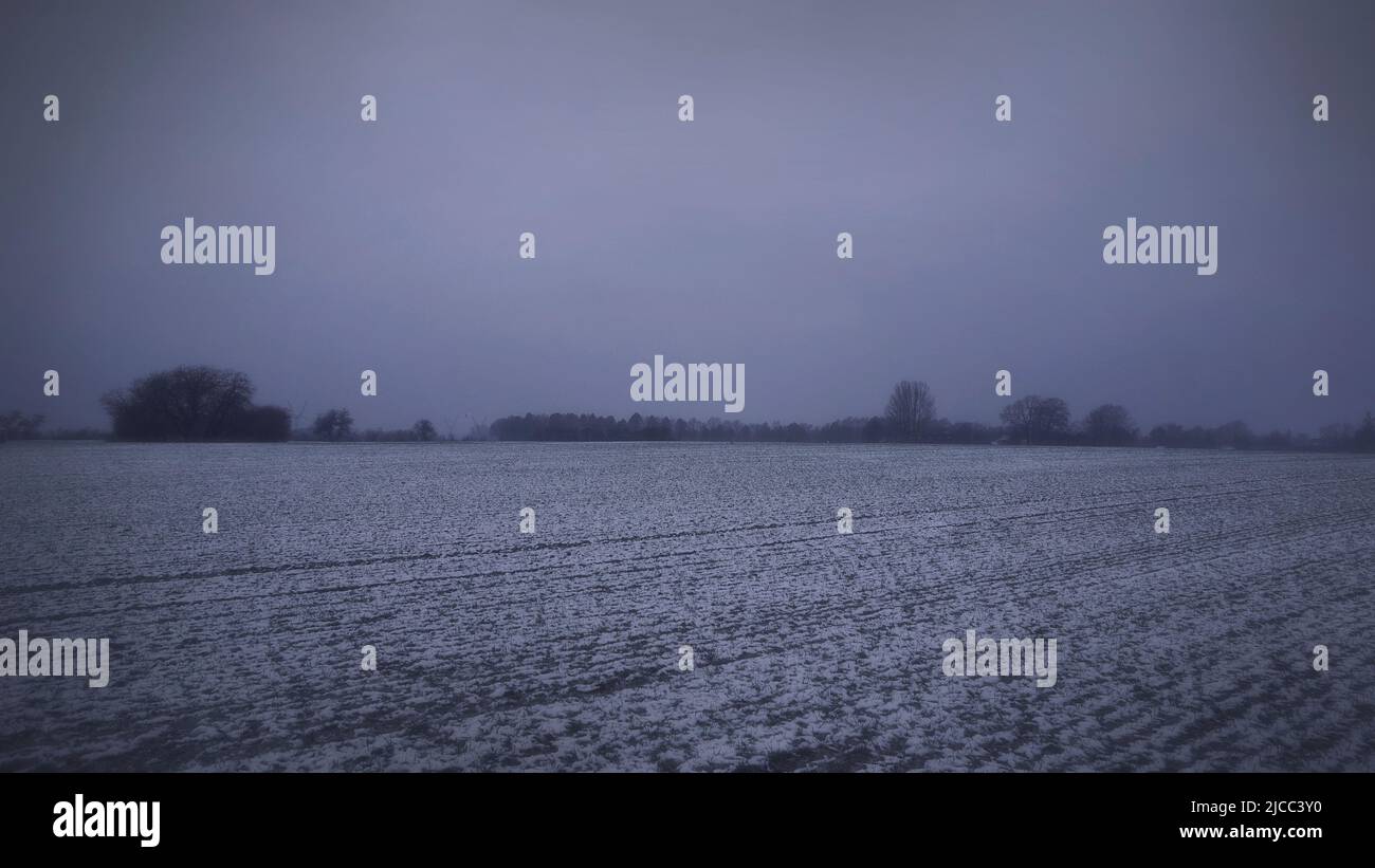 Leichter Schnee auf einem trüben Feld an einem grauen Tag Stockfoto