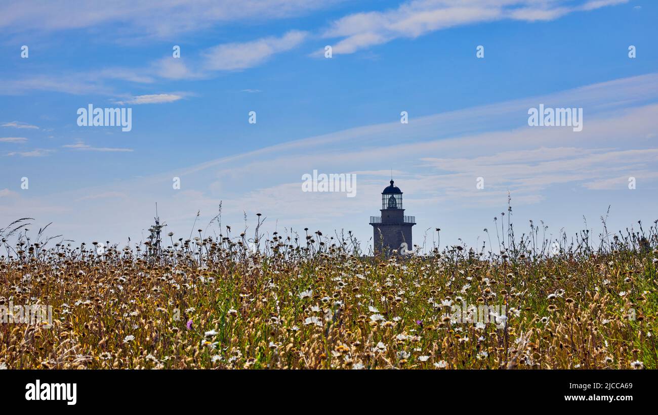 Bild von Carteret Phare mit Blumen im Vordergrund, Normandie, Frankreich Stockfoto