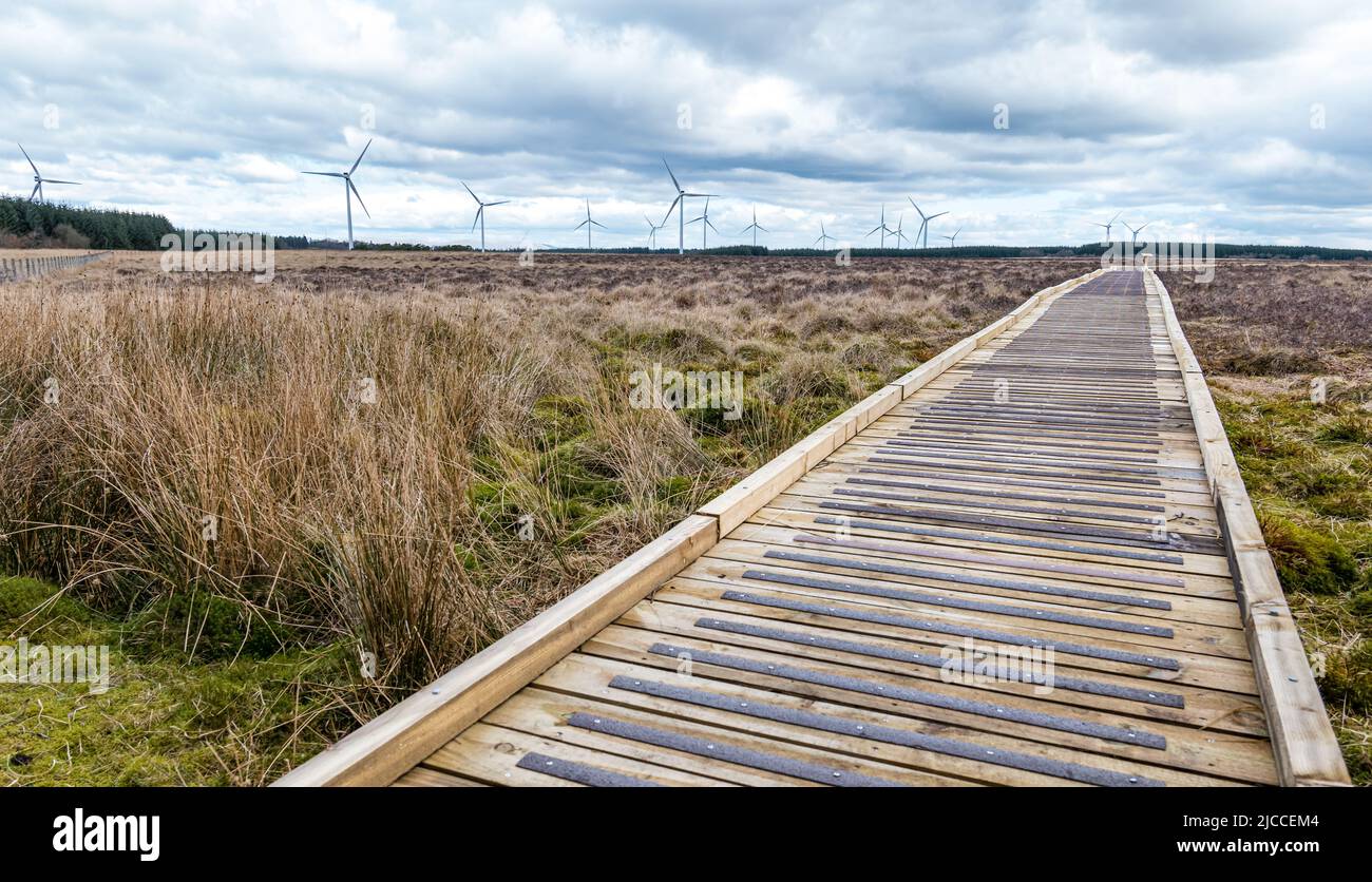 Boardwalk im Blawhorn Moss National Nature Reserve mit Windpark-Turbinen, West Lothian, Schottland, Großbritannien Stockfoto