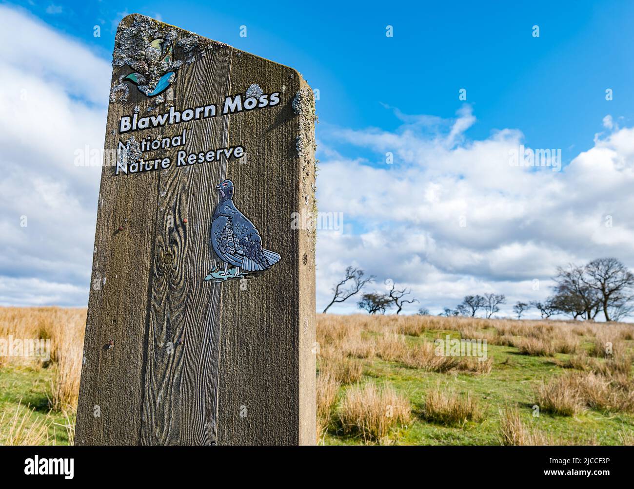 Namensschild im Blawhorn Moss National Nature Reserve, West Lothian, Schottland, Großbritannien Stockfoto