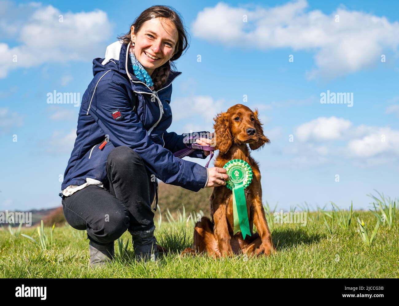 Stolze Hundebesitzerin mit niedlichem irischen Setter-Welpe mit 3.-Platz-Rosette in Sunshine, Schottland, Großbritannien Stockfoto