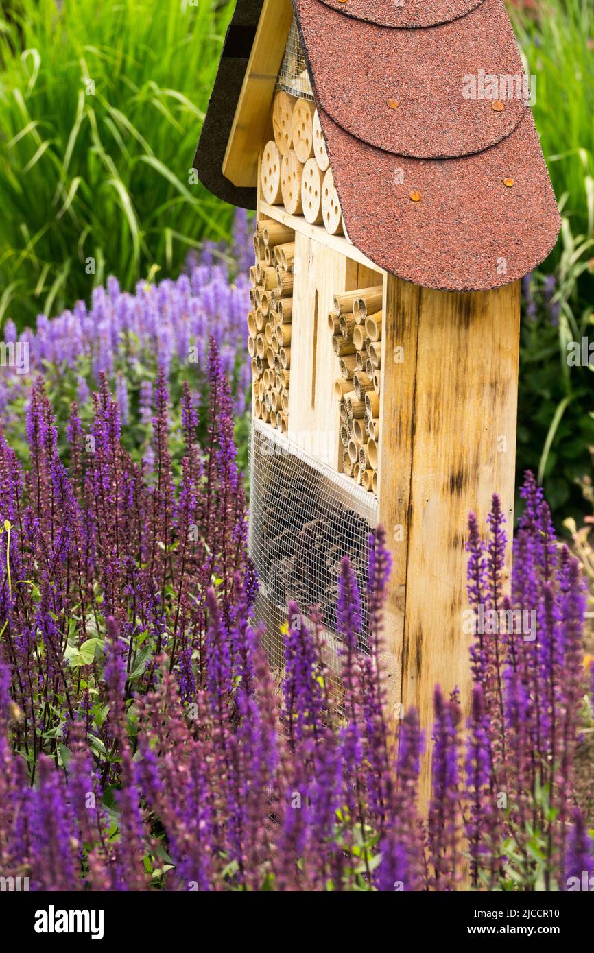 Bee Hotel in Garden, Blumen, umweltfreundlich, freundlich, Insekten, Zufluchtsort Stockfoto