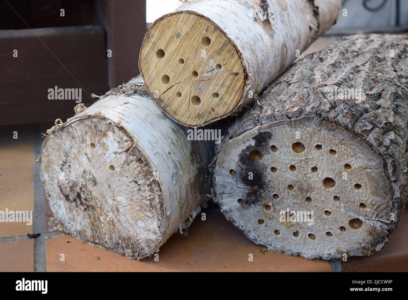 Nistlöcher für Bienen Stockfoto