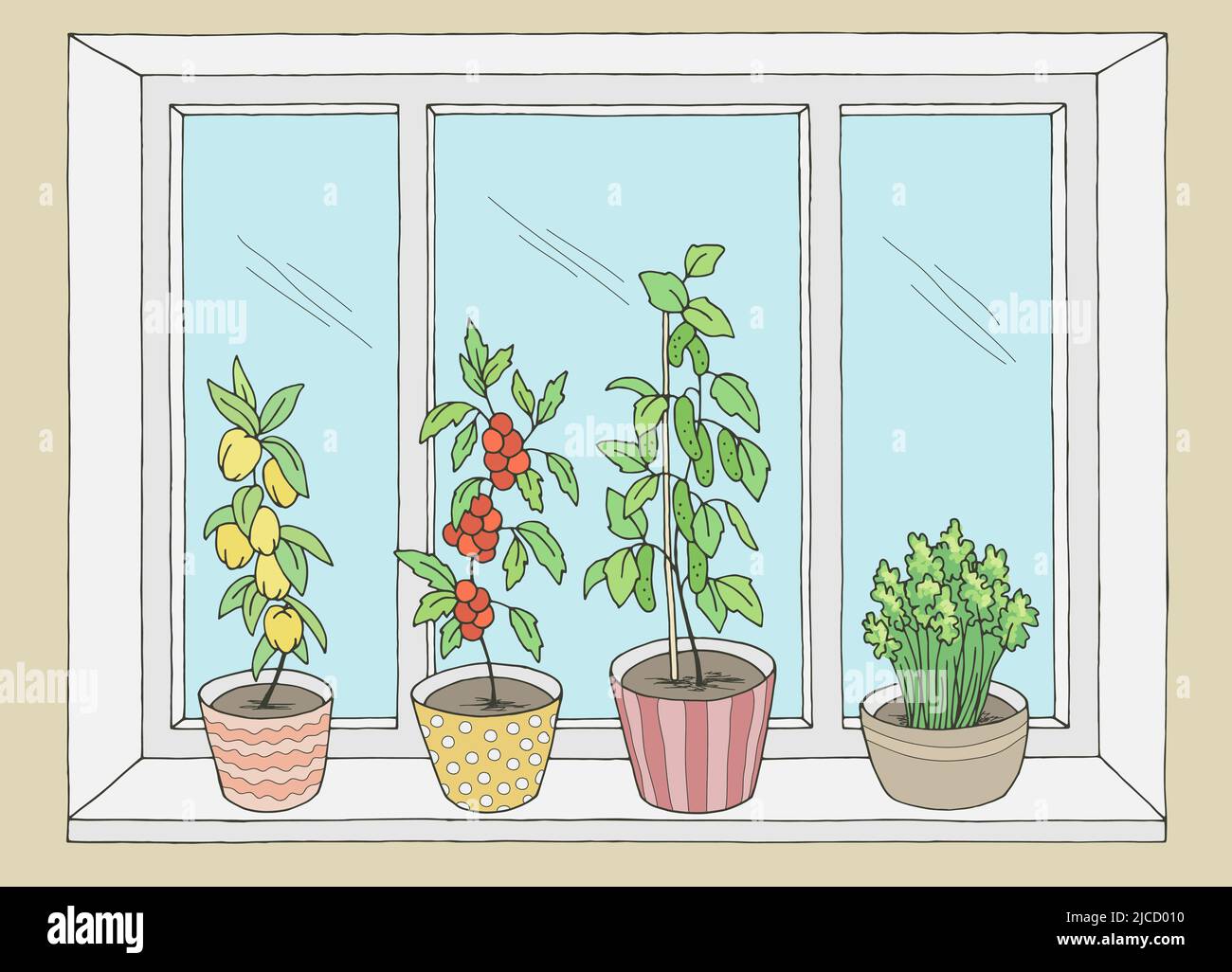Fenster Gemüsegarten Grafik Farbe Interieur Skizze Illustration Vektor